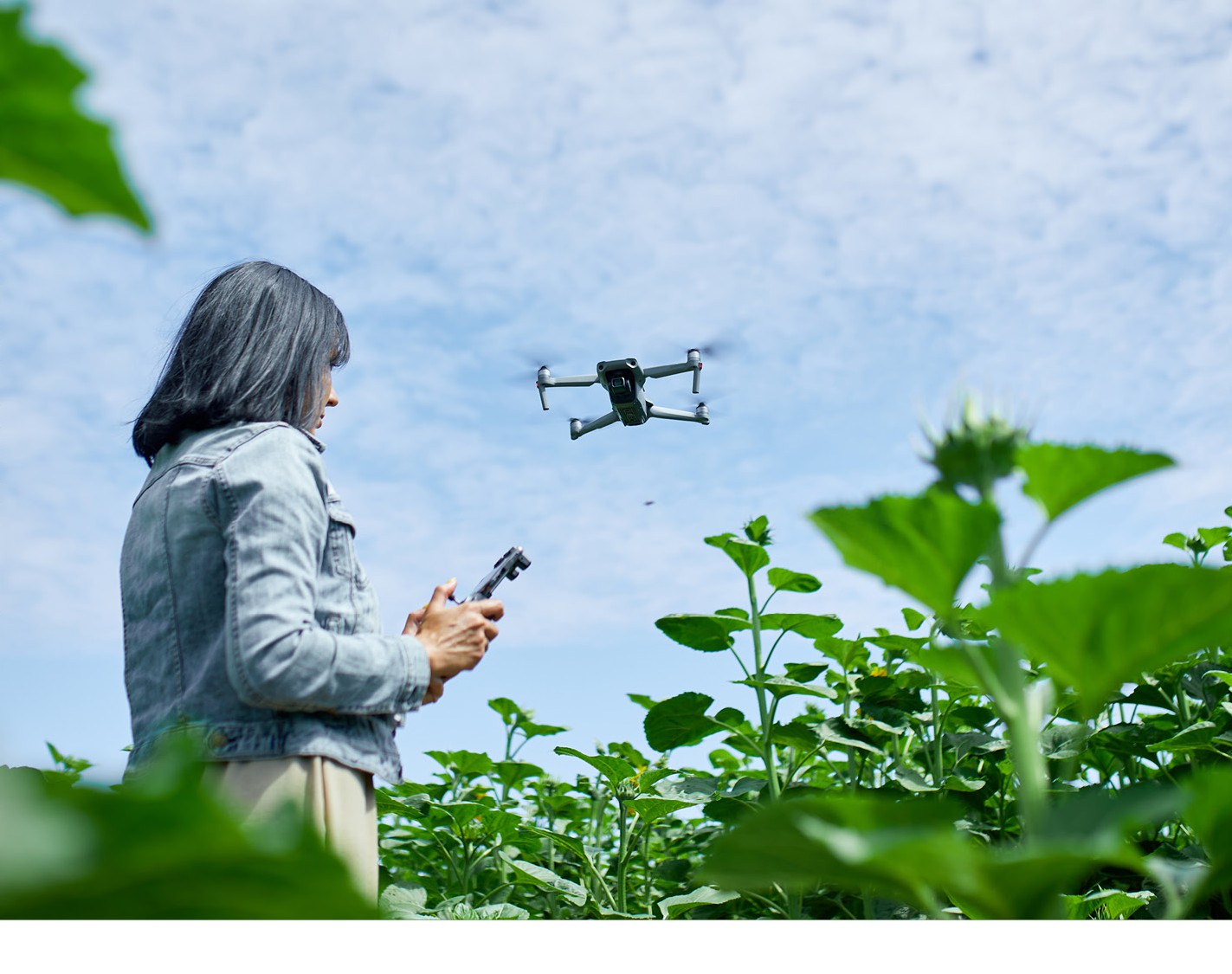 Field data collection with a drone above crops