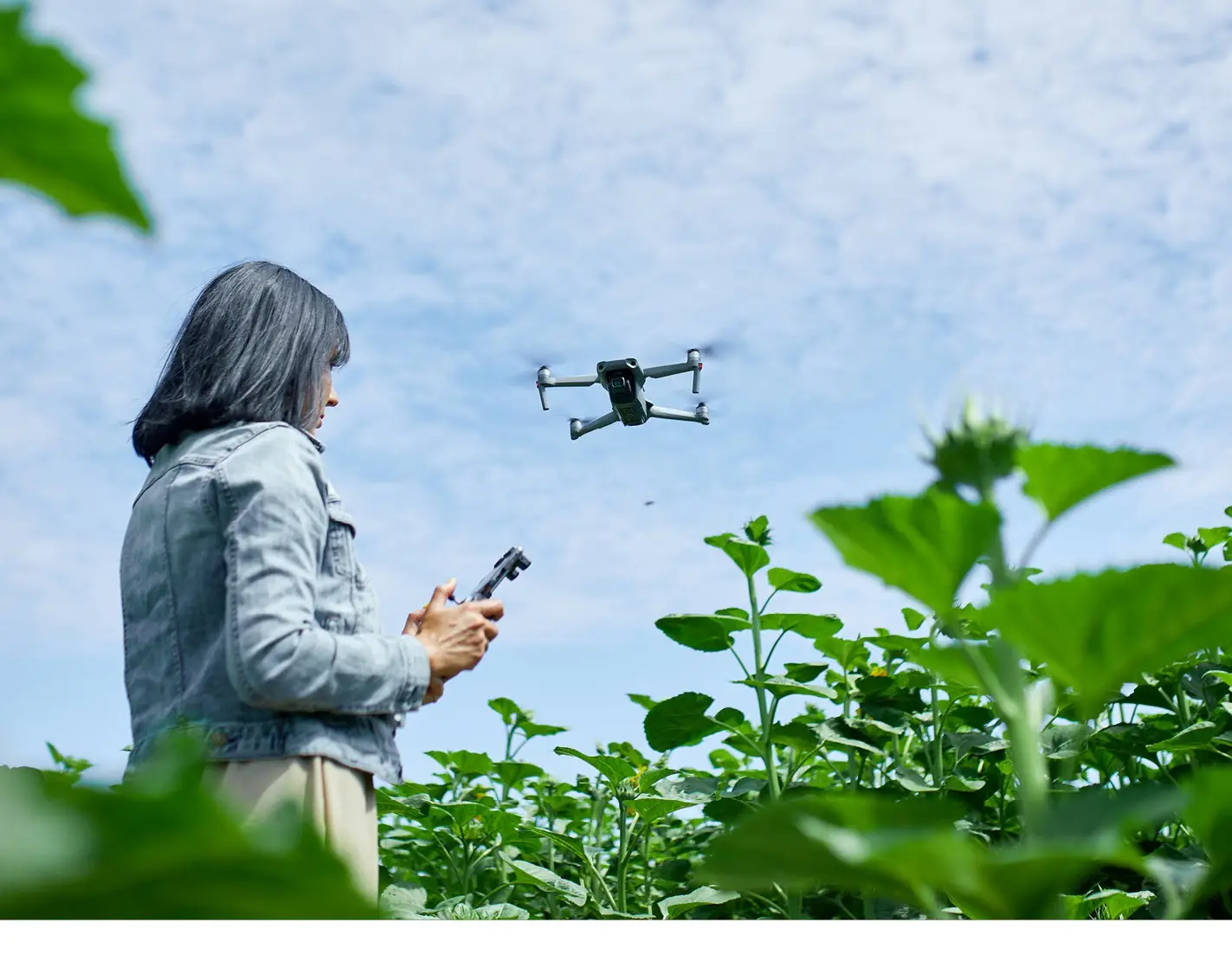 Recopilación de datos de campo con un dron sobre los cultivos